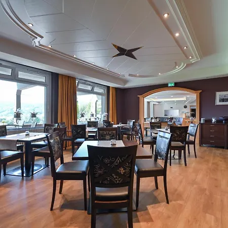 Rothenfels Panorama Hotel 3*
