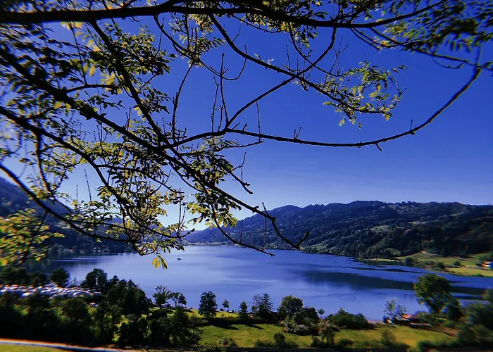 Rothenfels Panorama فندق 3*