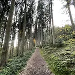 Rothenfels Panorama Hotel
