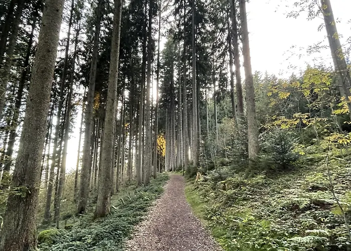 Rothenfels Panorama מלון